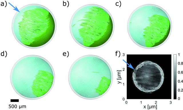 [Figure 4]