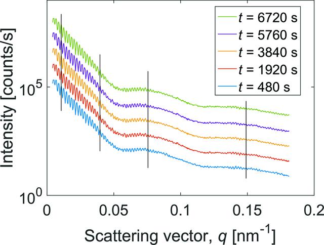 [Figure 5]