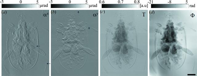 [Figure 6]