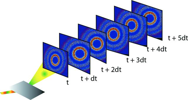 [Figure 1]