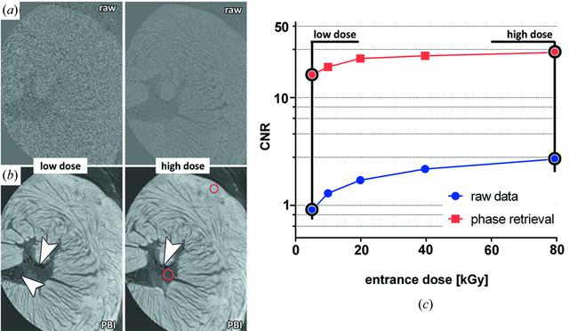 [Figure 2]