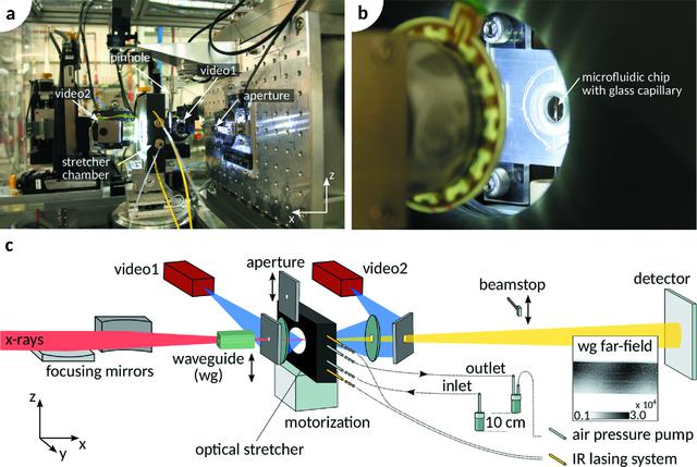 [Figure 2]