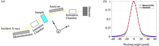 [Figure 1]