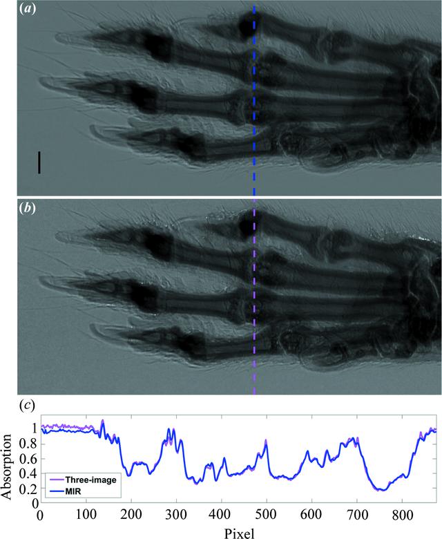 [Figure 2]