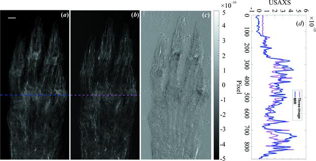 [Figure 4]