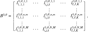 [{B^{0,\theta }} = \left [{\matrix{ {l_{1,1,1}^{\,0,\theta, 1,1}} & \cdots & {l_{i,j,k}^{\,0,\theta, 1,1}} & \cdots & {l_{I,J,K}^{\,0,\theta, 1,1}} \cr \vdots & {} & \vdots & {} & \vdots \cr {l_{1,1,1}^{\,0,\theta, n,m}} & \cdots & {l_{i,j,k}^{\,0,\theta, n,m}} & \cdots & {l_{I,J,K}^{\,0,\theta, n,m}} \cr \vdots & {} & \vdots & {} & \vdots \cr {l_{1,1,1}^{\,0,\theta, N,M}} & \cdots & {l_{i,j,k}^{\,0,\theta, N,M}} & \cdots & {l_{I,J,K}^{\,0,\theta, N,M}} \cr } } \right],]