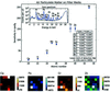 [Figure 2]