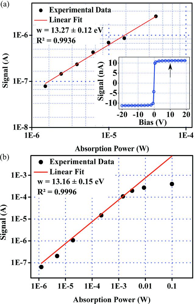 [Figure 6]