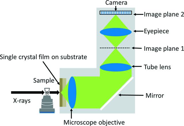 [Figure 1]