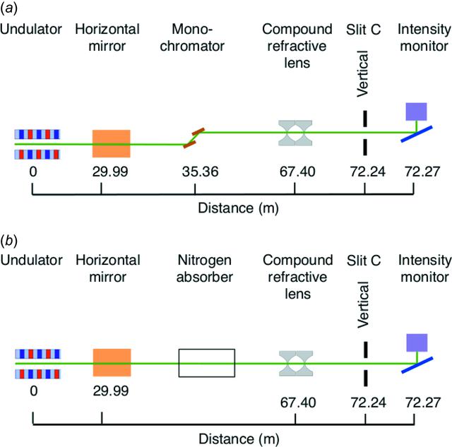 [Figure 10]