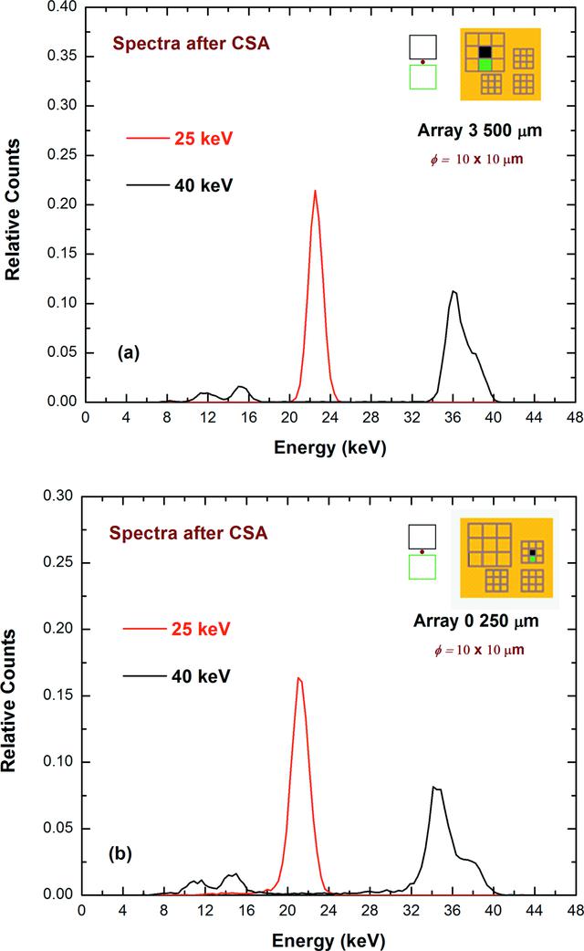 [Figure 10]