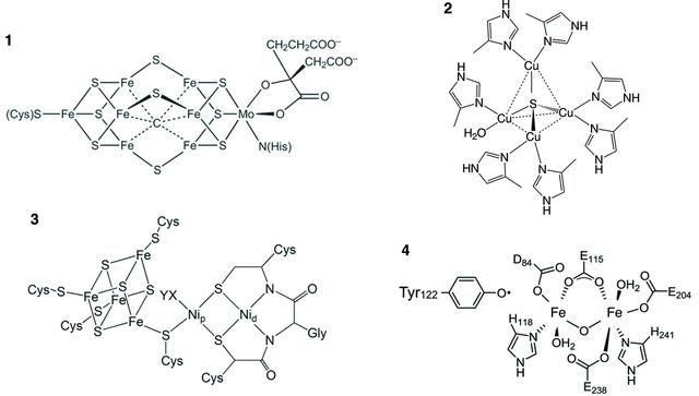 [Figure 2]