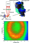 [Figure 10]