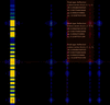 [Figure 5]