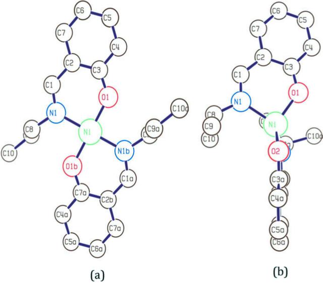 [Figure 1]