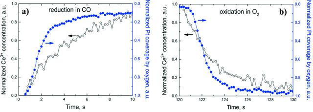 [Figure 7]