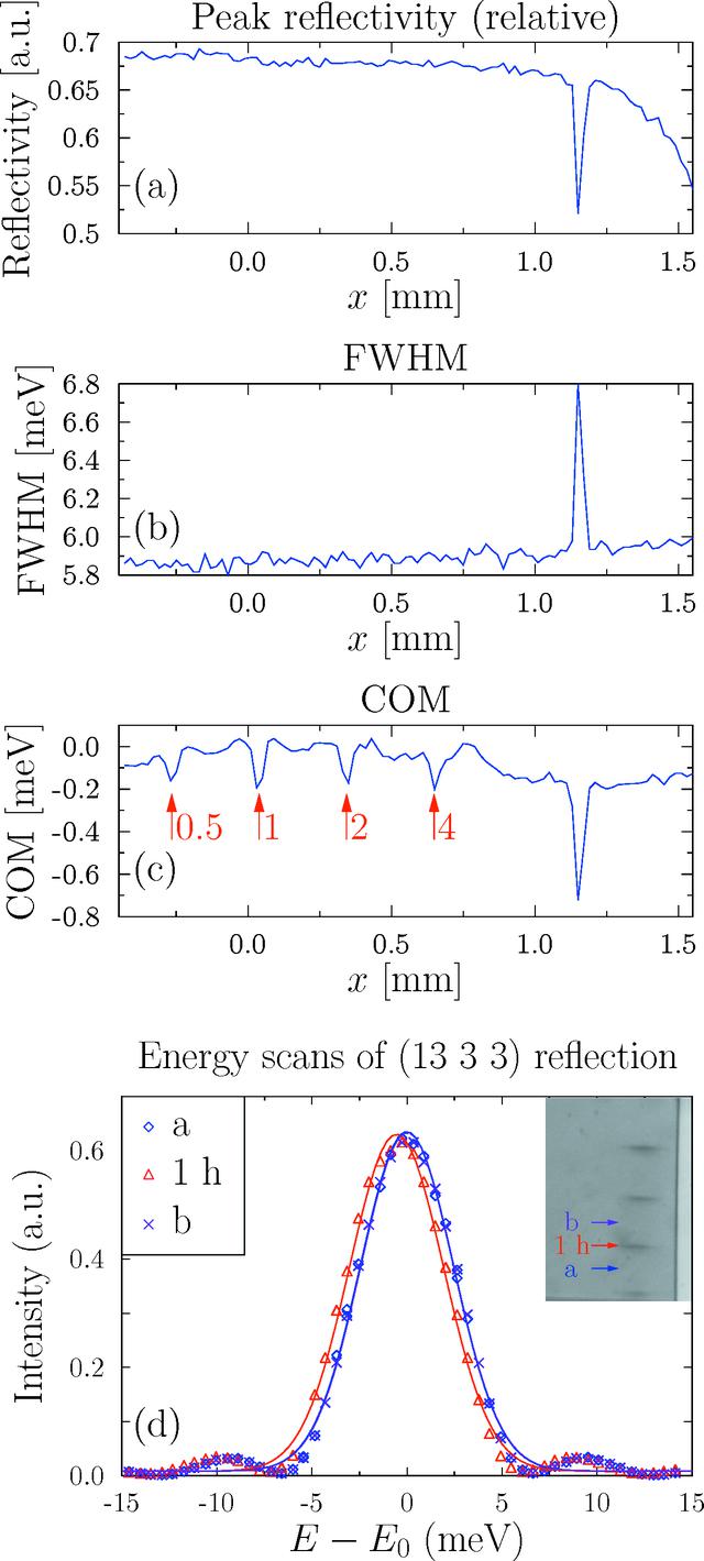 [Figure 4]