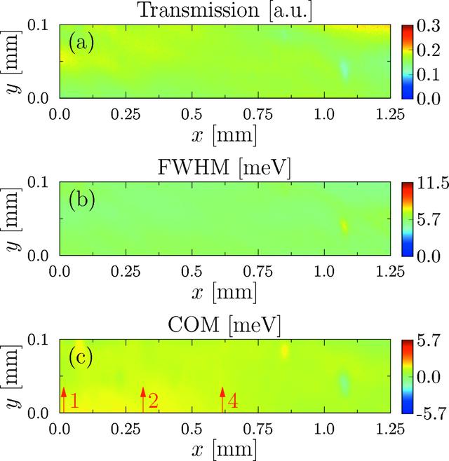 [Figure 5]