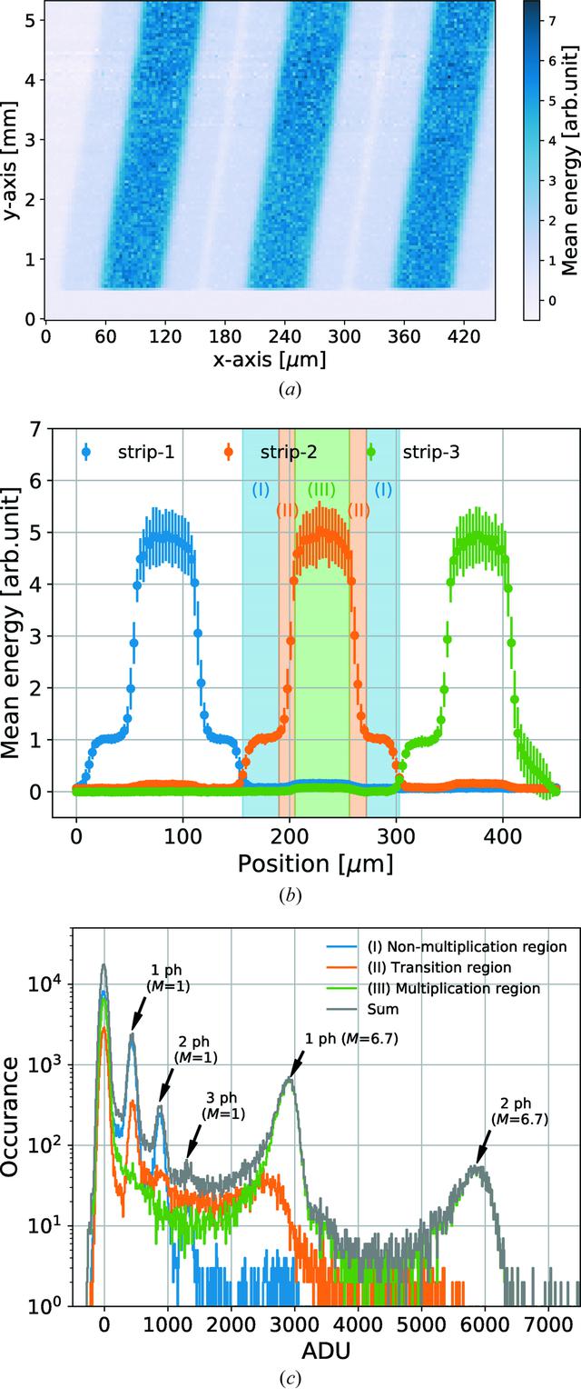 [Figure 10]