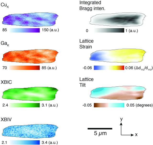 [Figure 2]