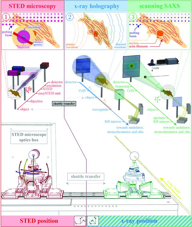 [Figure 1]