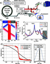 [Figure 1]