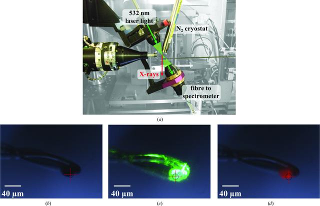 [Figure 1]