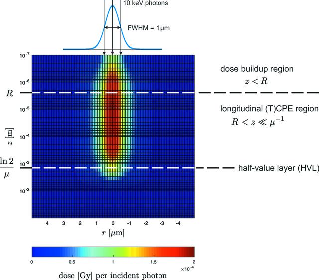 [Figure 4]