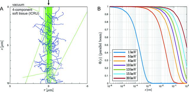 [Figure 5]