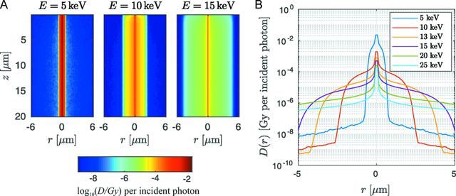 [Figure 6]