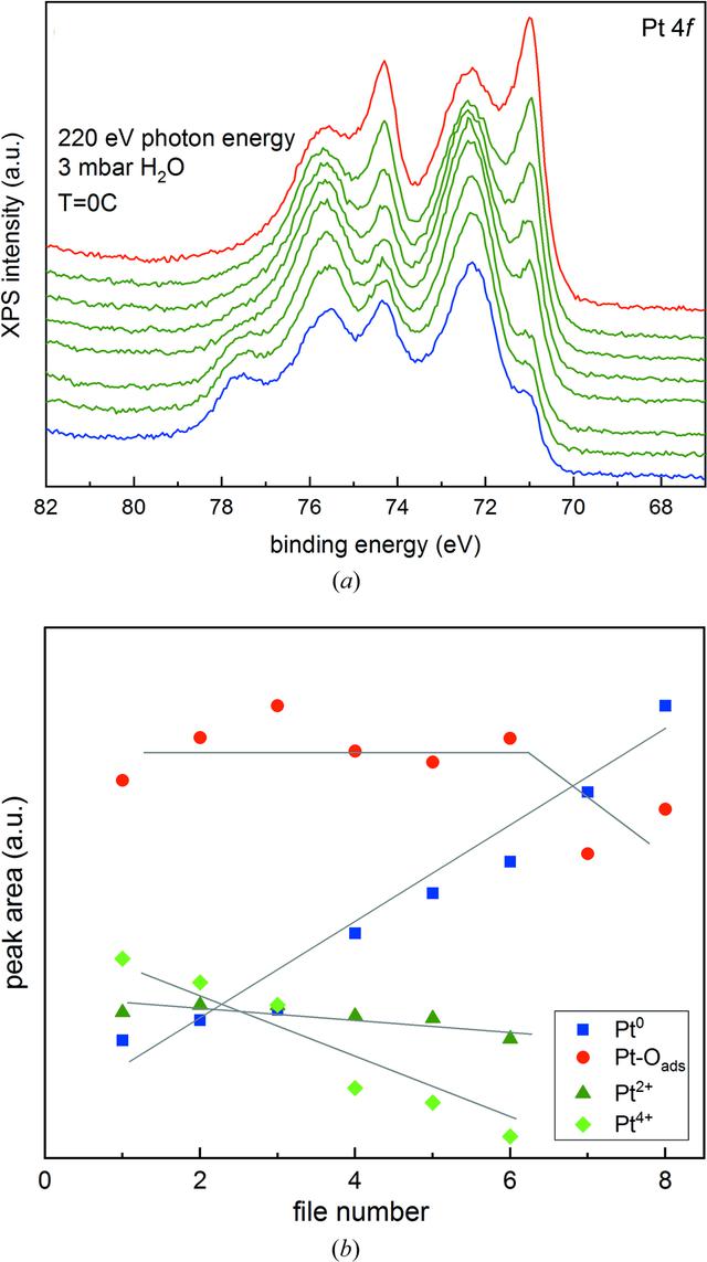 [Figure 4]