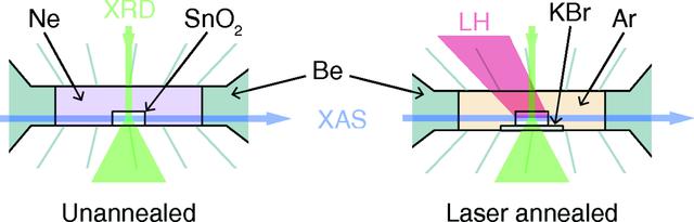 [Figure 1]