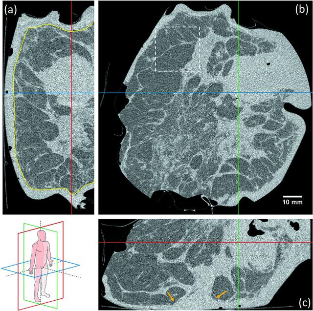 [Figure 2]