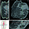 [Figure 2]