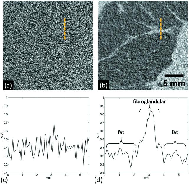 [Figure 4]