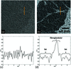 [Figure 4]