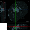 [Figure 5]