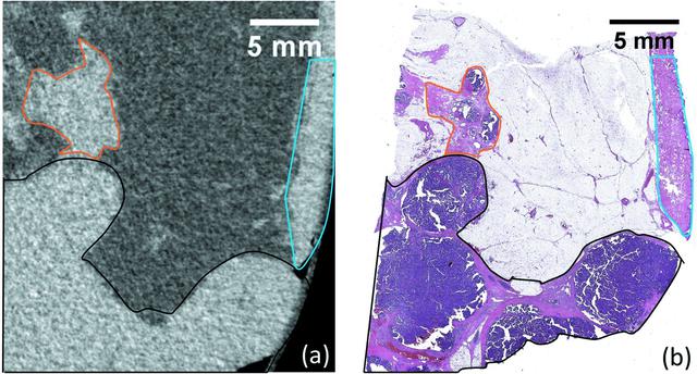 [Figure 9]