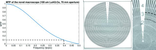 [Figure 4]