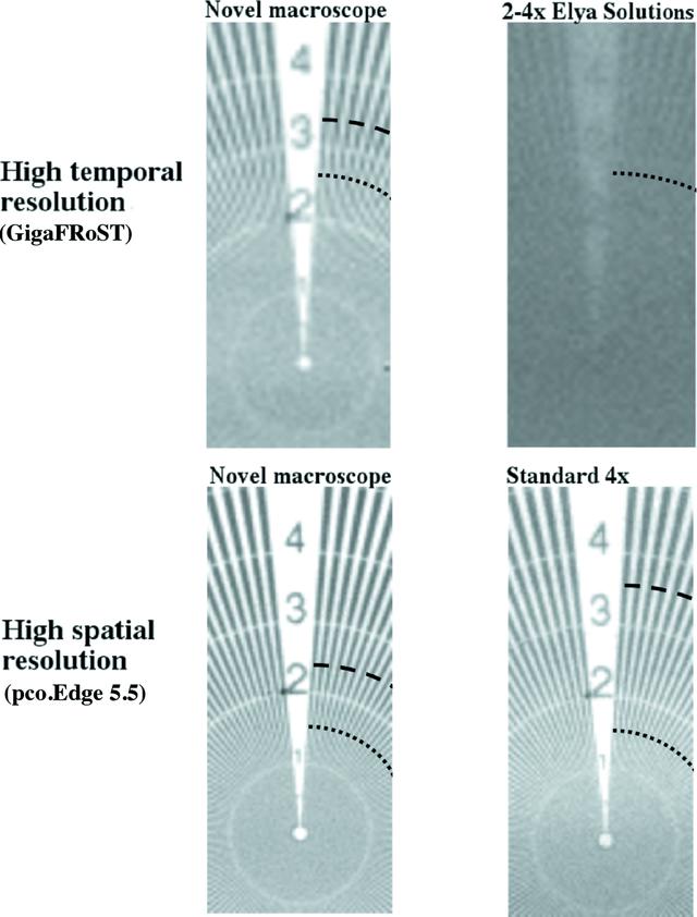 [Figure 6]