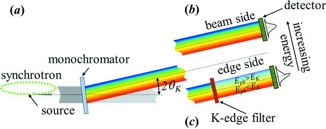 [Figure 1]