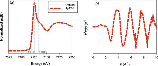 [Figure 1]