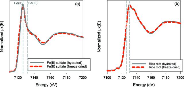 [Figure 2]