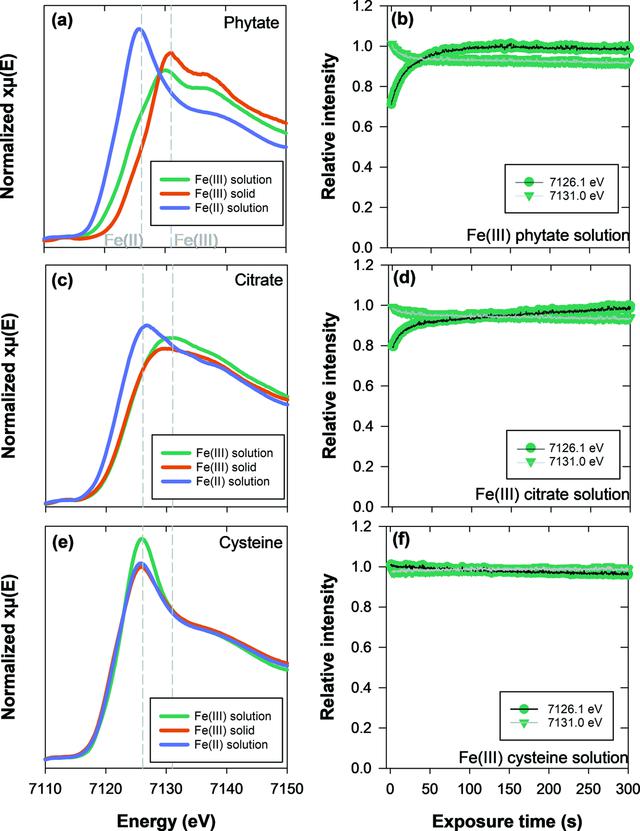 [Figure 4]