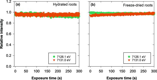 [Figure 5]