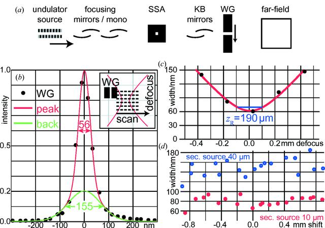 [Figure 1]