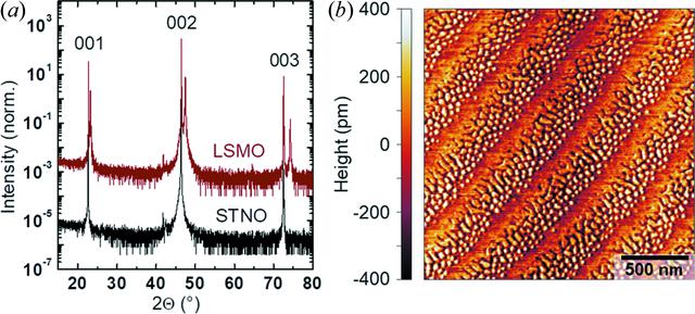 [Figure 4]