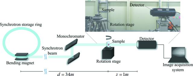 [Figure 1]