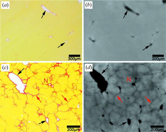 [Figure 3]