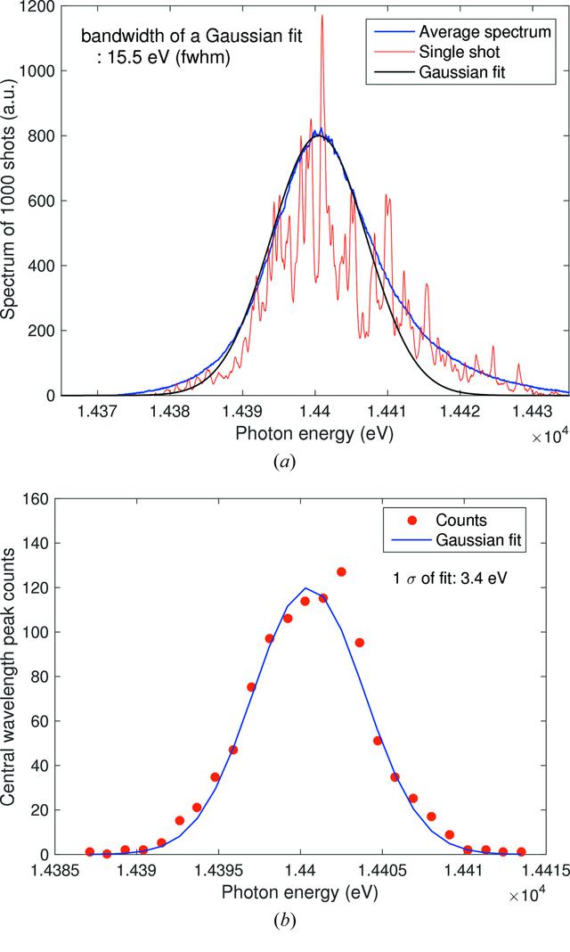 [Figure 12]